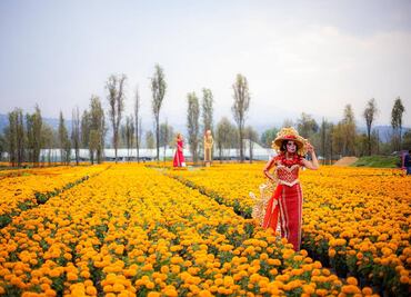Día de Muertos en Xochimilco: así es el Sendero de las Almas