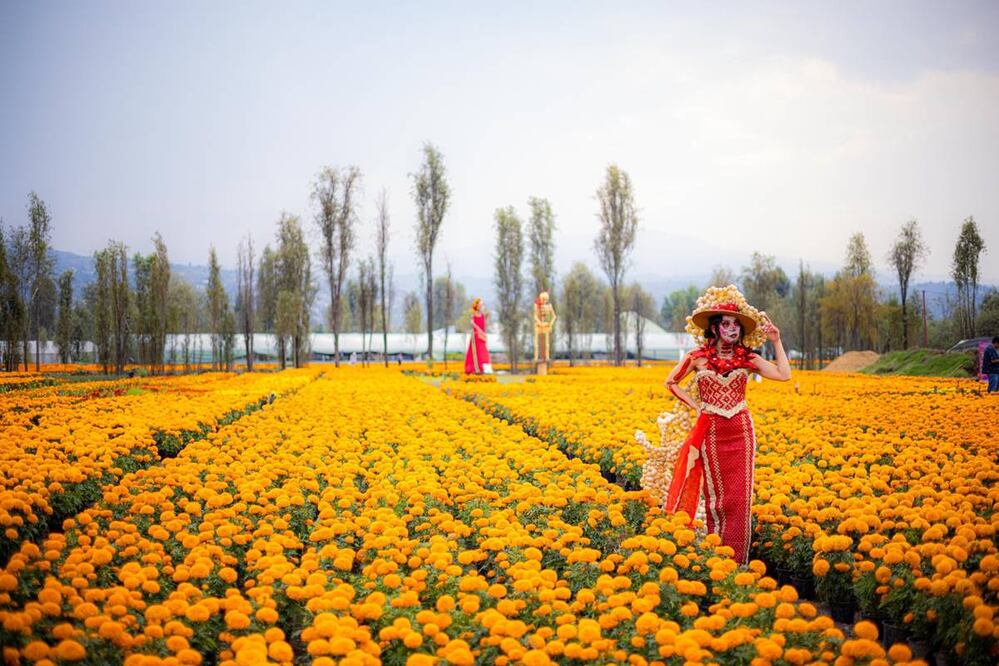 Foto: Gobierno de la Ciudad de México