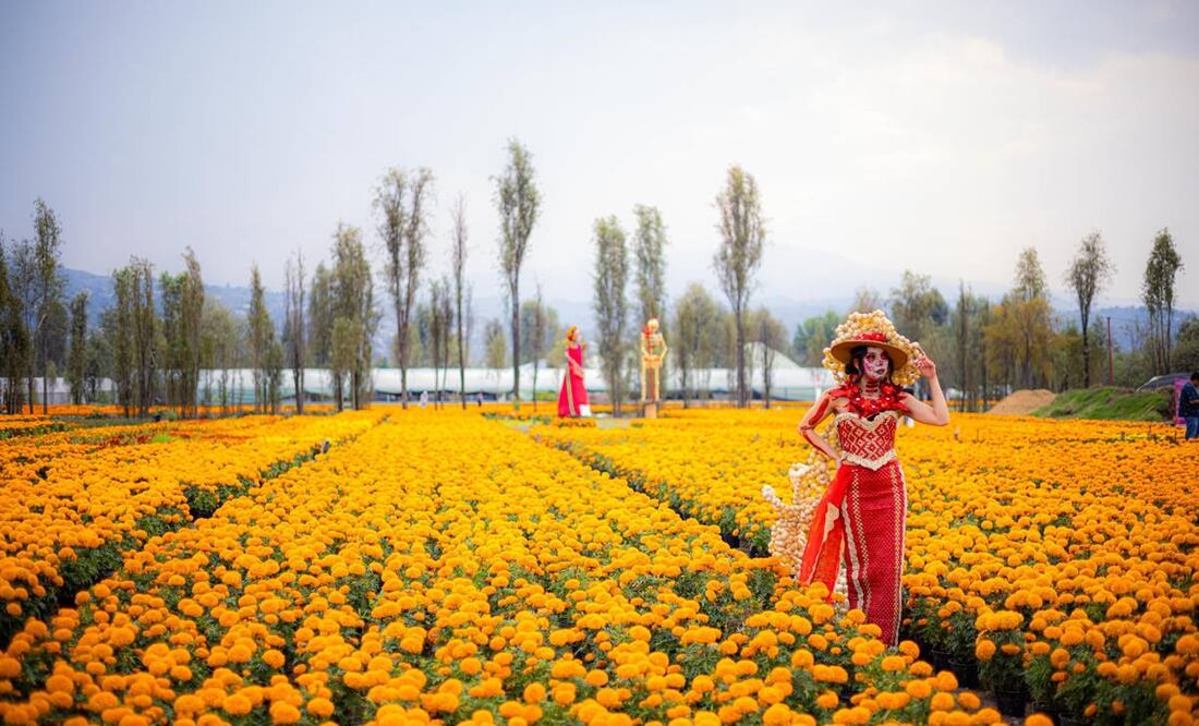 Foto: Gobierno de la Ciudad de México