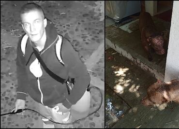 Sujeto rocía ácido a dos lomitos en Oaxaca; dueños piden ayuda para encontrar al atacante