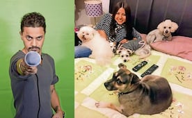 Comediantes se unen para ayudar a 17 perros