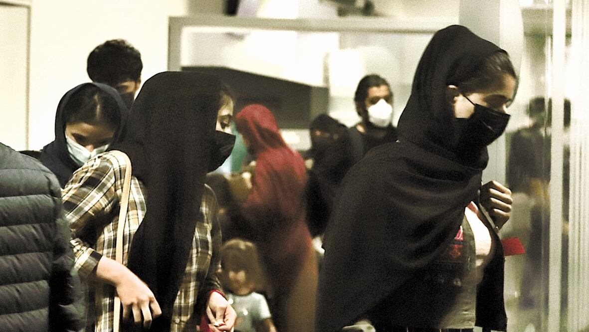 Imagen ilustrativa. Foto: archivo/EL UNIVERSAL