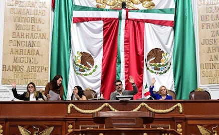 Congreso de CDMX aprueba dictamen para prohibir exhibición física de perros y gatos en venta