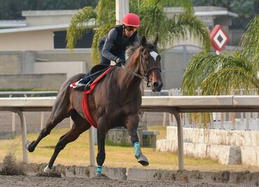 Mexican horse Kukulkán to compete at Pegasus World Cup
