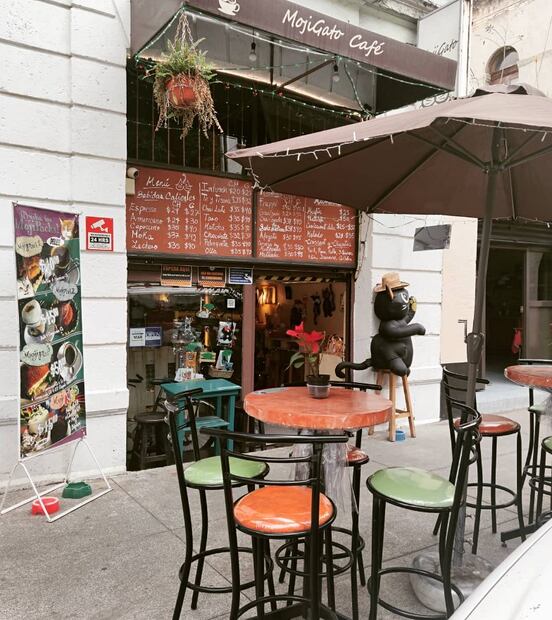 MojiGato Café. Foto: Instagram