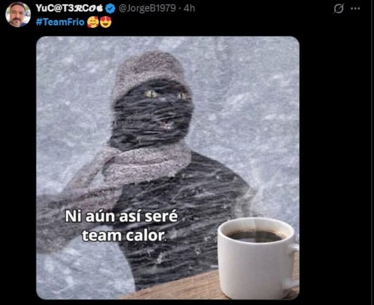 Los mejores memes que dejó el Frente Frío 29. Foto: Redes sociales