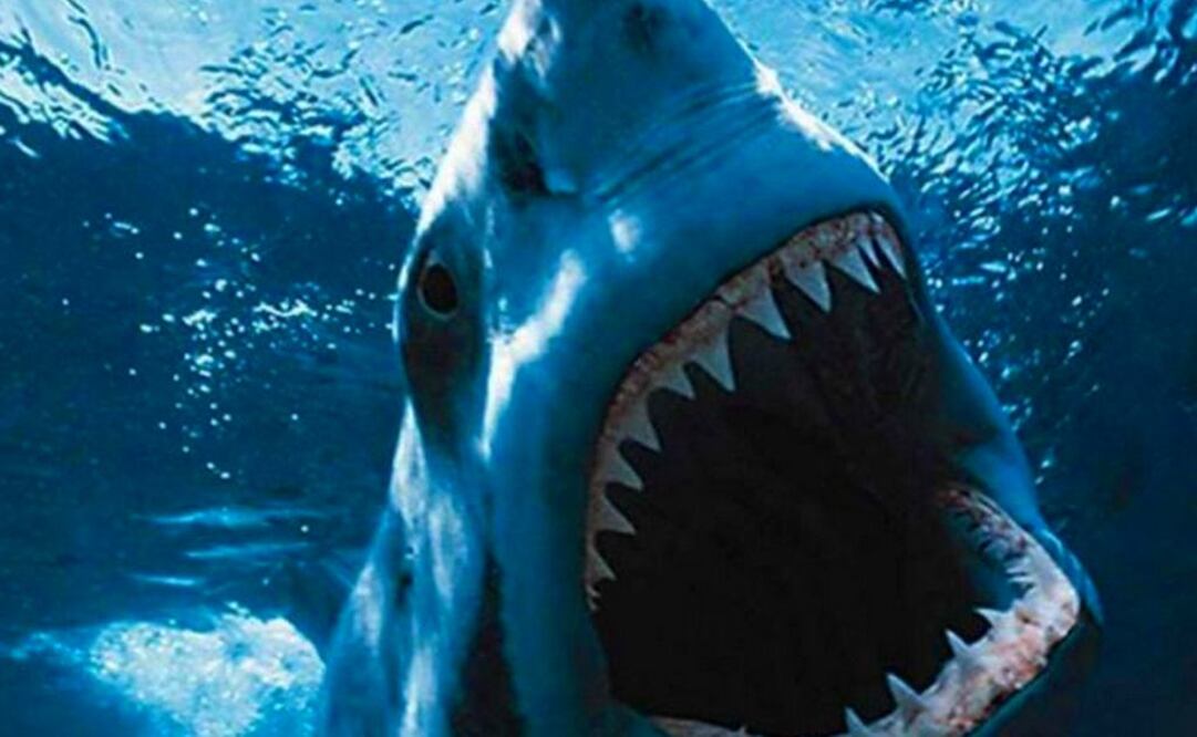 El tiburón construido tuvo fallas en rodaje; no abría mandíbulas o no flotaba. Archivo / EL UNIVERSAL