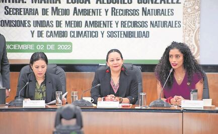 Reclaman a Albores deforestación por tren