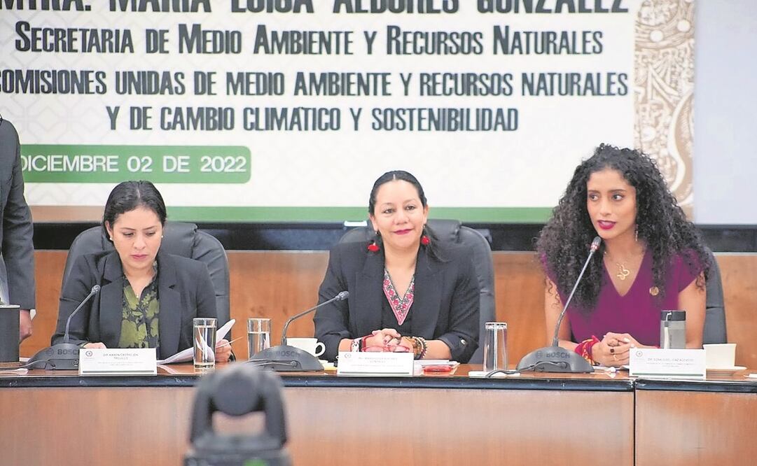 En comparecencia en la Cámara de Diputados, María Luisa Albores (centro) negó que este gobierno plantee un ecocidio. Foto: Tomada de Twitter