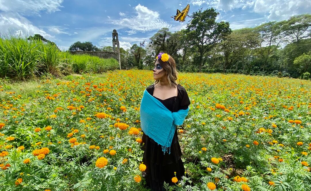 Por su ubicación geográfica, la tierra de San Pablo Coapan es bondadosa para la siembra de la flor de 20 pétalos y millones de ellas tapizan los campos, listas para celebrar el Día de Muertos. Foto: Patricia Morales/EL UNIVERSAL