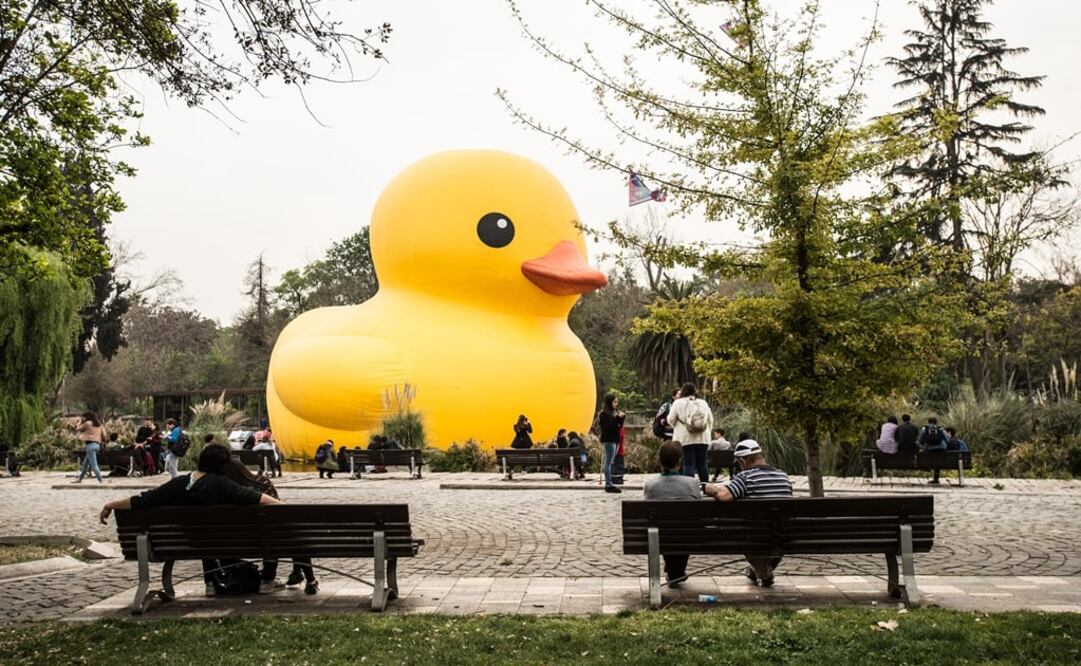 Un pato de hule gigante sorprendió a los chilenos en la laguna del parque Quinta Normal. Foto: Xinhua/Jorge Villegas