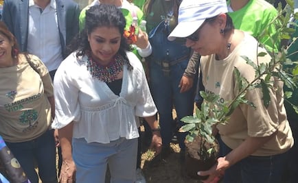 Proyectan plantar un millón de árboles con plan de reforestación en Iztapalapa
