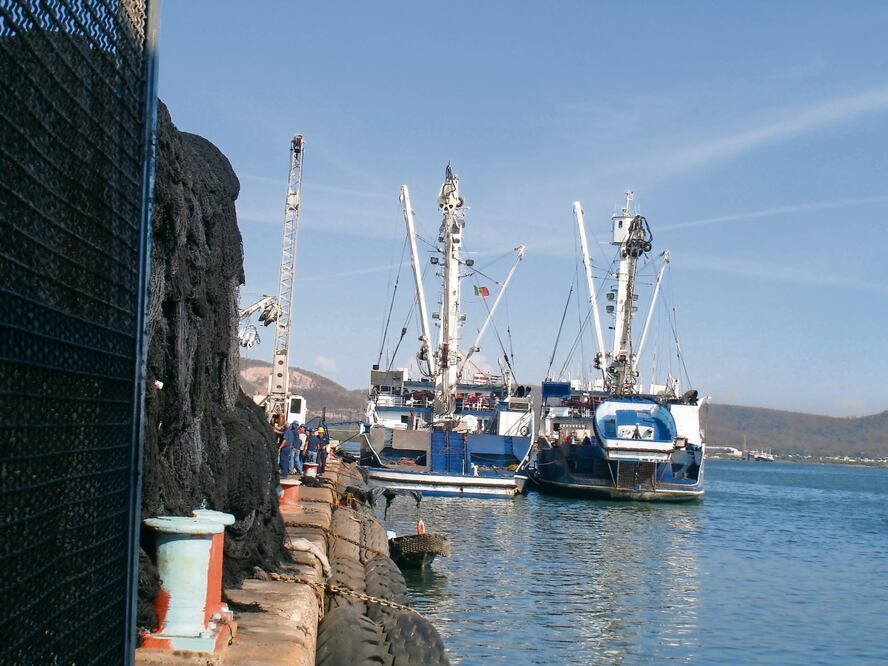 La industria atunera y otros organismos marinos, además de los arrecifes de coral son los más afectados con el fenómeno de El Niño. Foto: Archivo / EL UNIVERSAL