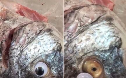 Vendían pescados con ojos falsos para hacerlos ver frescos
