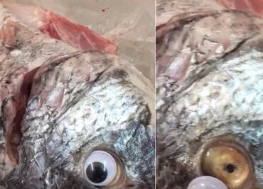 Vendían pescados con ojos falsos para hacerlos ver frescos