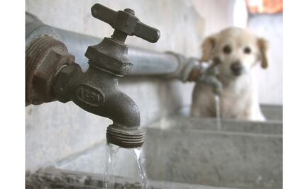 Pobladores denuncian contaminación de agua en Cuatepec, Hidalgo