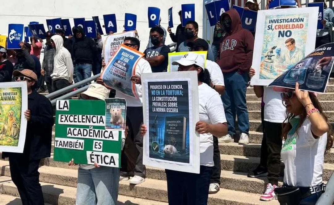 Exigen animalistas frenar pruebas en Universidad de Puebla; acusan crueldad contra roedores.
Foto: Especial