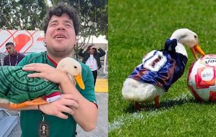 Pato Merlín: de fenómeno viral a símbolo nacional; así han sido sus nuevas aventuras tras el éxito