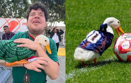 Pato Merlín: de fenómeno viral a símbolo nacional; así han sido sus nuevas aventuras tras el éxito