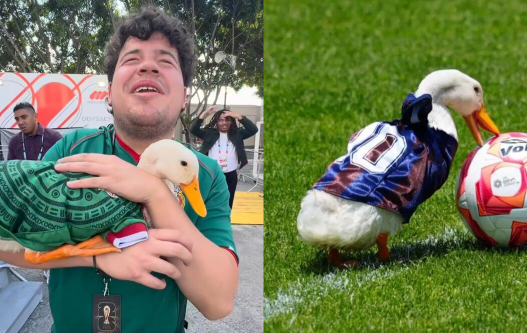 El Pato Merlín es reconocido por los mexicanos como un elemento importante en este Mundial. Foto: Redes Sociales @soyelpatomerlin