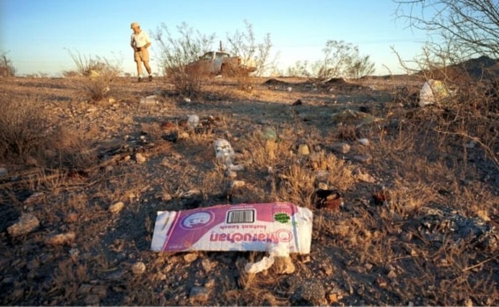 Unesco alerta sobre estado de conservación de las reservas El Pinacate y de la mariposa monarca 