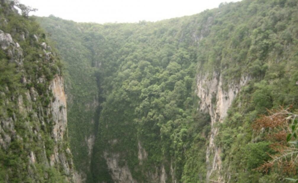 Por estas 7 razones, la Sierra Gorda de Querétaro es impresionante