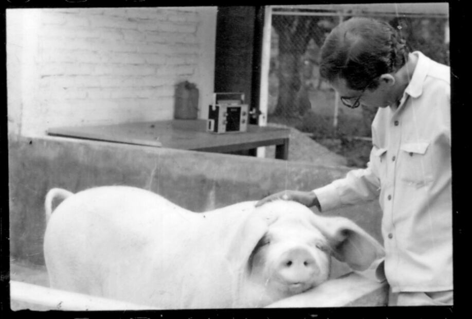 EL ranchito de don Salvador Elizondo Pani (XX)