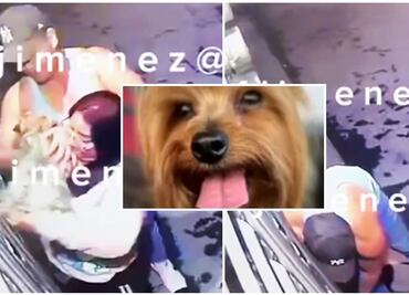 VIDEO Sujetos roban a perrito Kuquis de una cochera en Tecamac; dueños piden ayuda para localizar a los ladrones