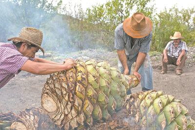 “Pasamos meses sin vender ni un litro de mezcal”