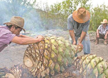 “Pasamos meses sin vender ni un litro de mezcal”