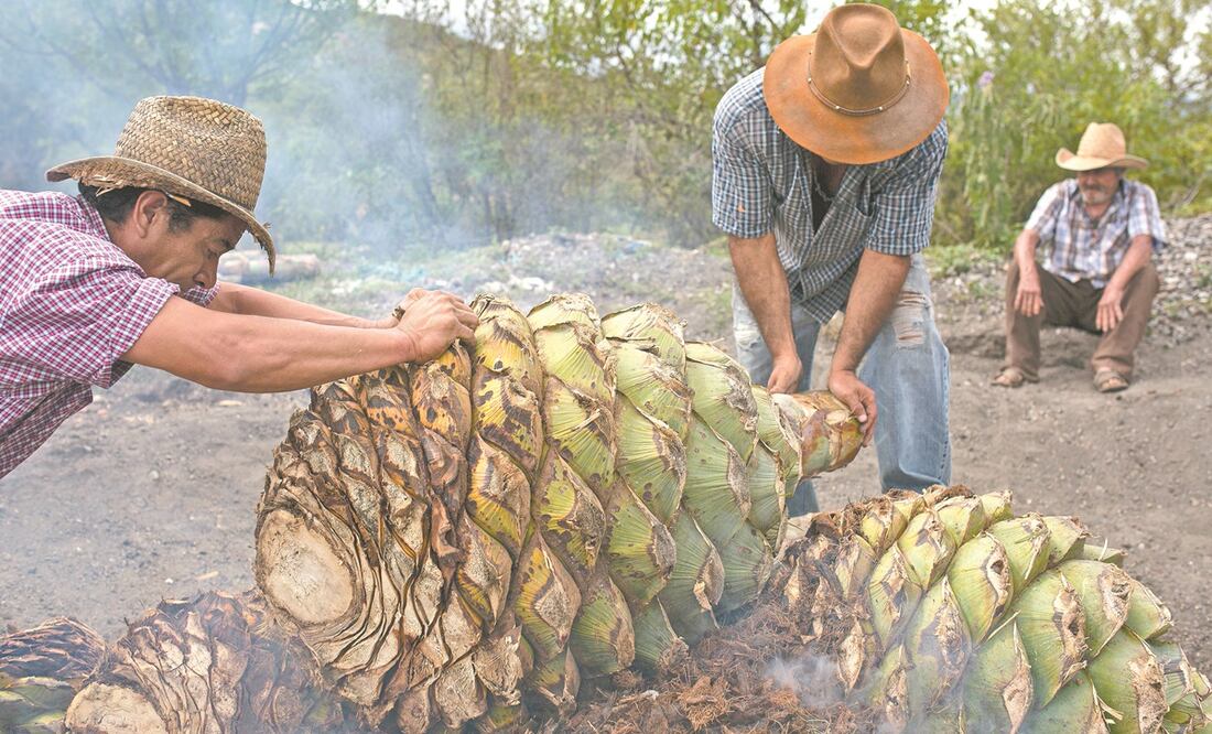 FOTOS: MARIO ARTURO MARTÍNEZ. EL UNIVERSAL