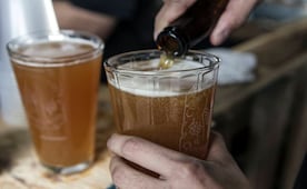 Caen exportaciones de cerveza, azúcar y berries en primer semestre; aguacate registró la peor caída con -24.4%