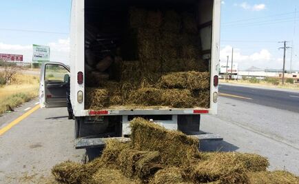 Incautan más de dos toneladas de marihuana en Coahuila