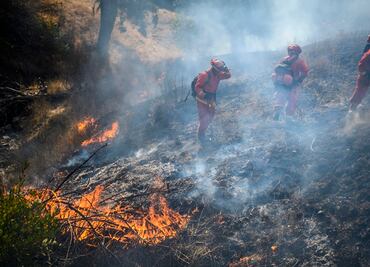 Ordenan evacuación de 50 mil habitantes del área de San Francisco por incendio