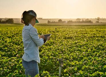En México, 86% de las mujeres trabajadoras agrícolas no tienen seguridad social, revela informe