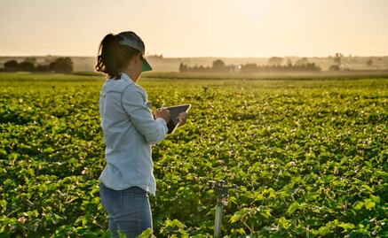 En México, 86% de las mujeres trabajadoras agrícolas no tienen seguridad social, revela informe
