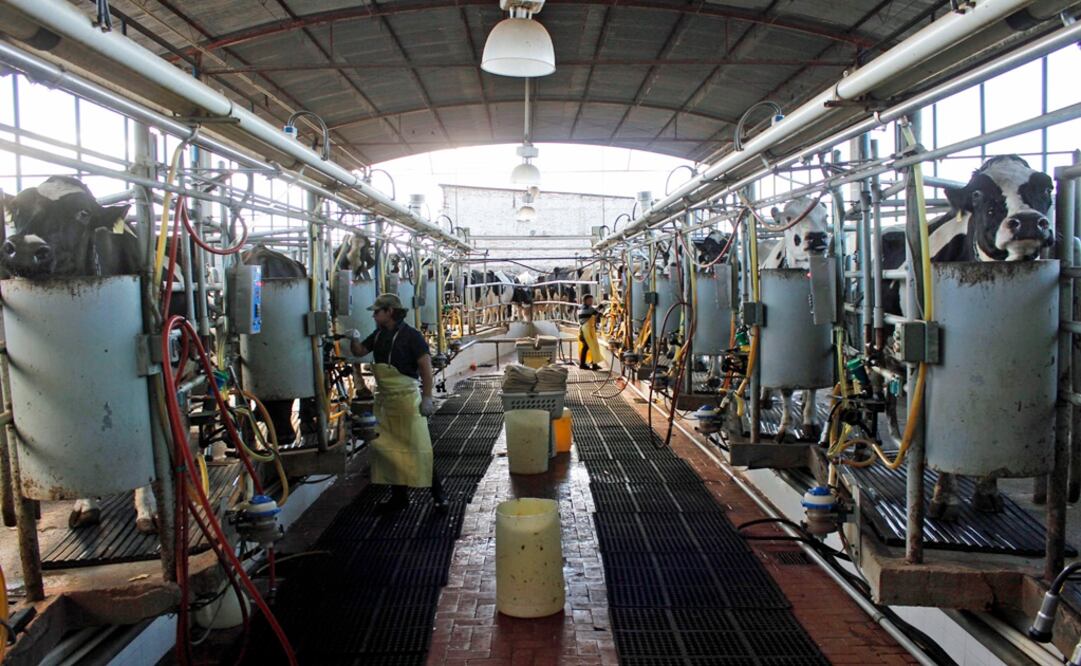 Foto: Archivo/ EL UNIVERSAL