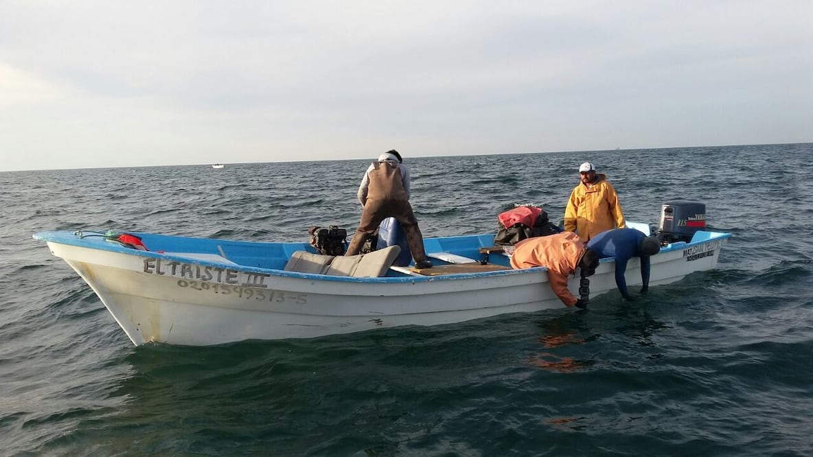 Imagen ilustrativa / Archivo