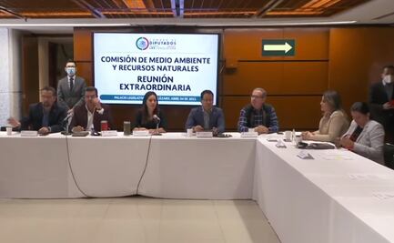 Comisión de Medio Ambiente en San Lázaro avala reforma eléctrica de AMLO