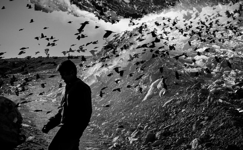 "Entre el cielo y la basura" de Jesse Mireles