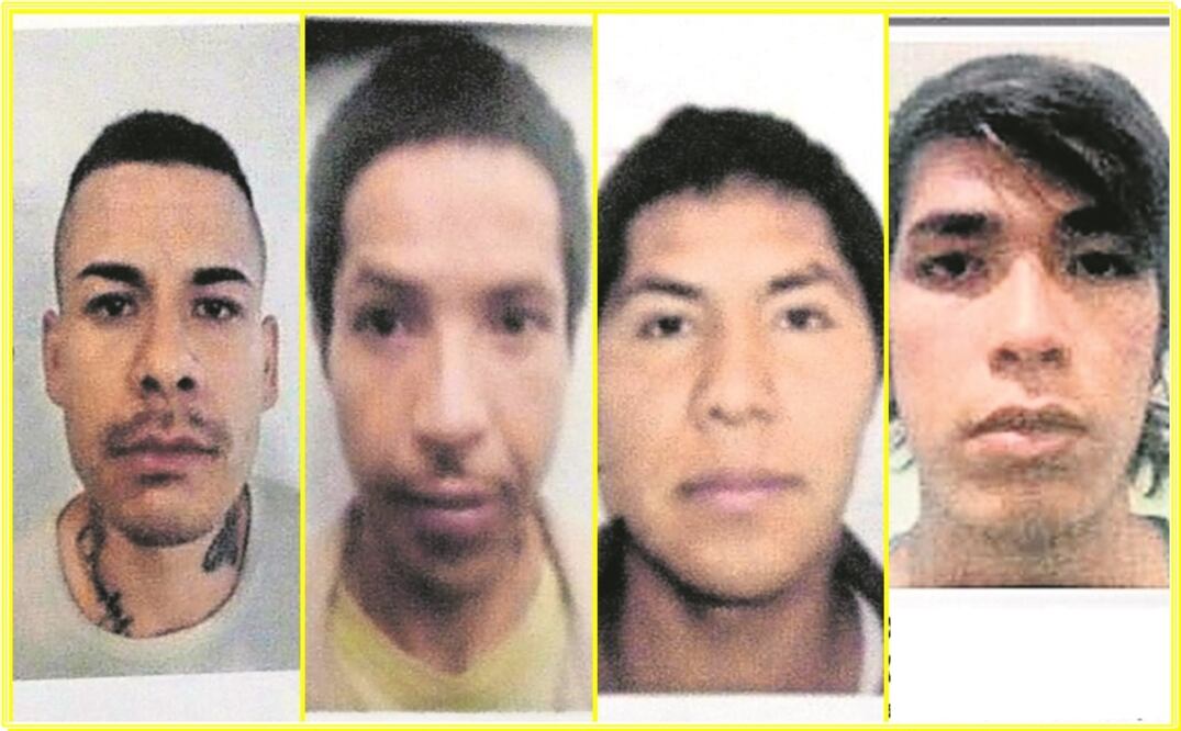 Se buscan