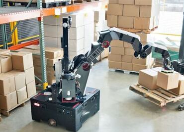 El nuevo robot que mueve cajas