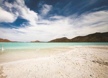 Crea UNAM licenciatura en Turismo y Desarrollo Sostenible