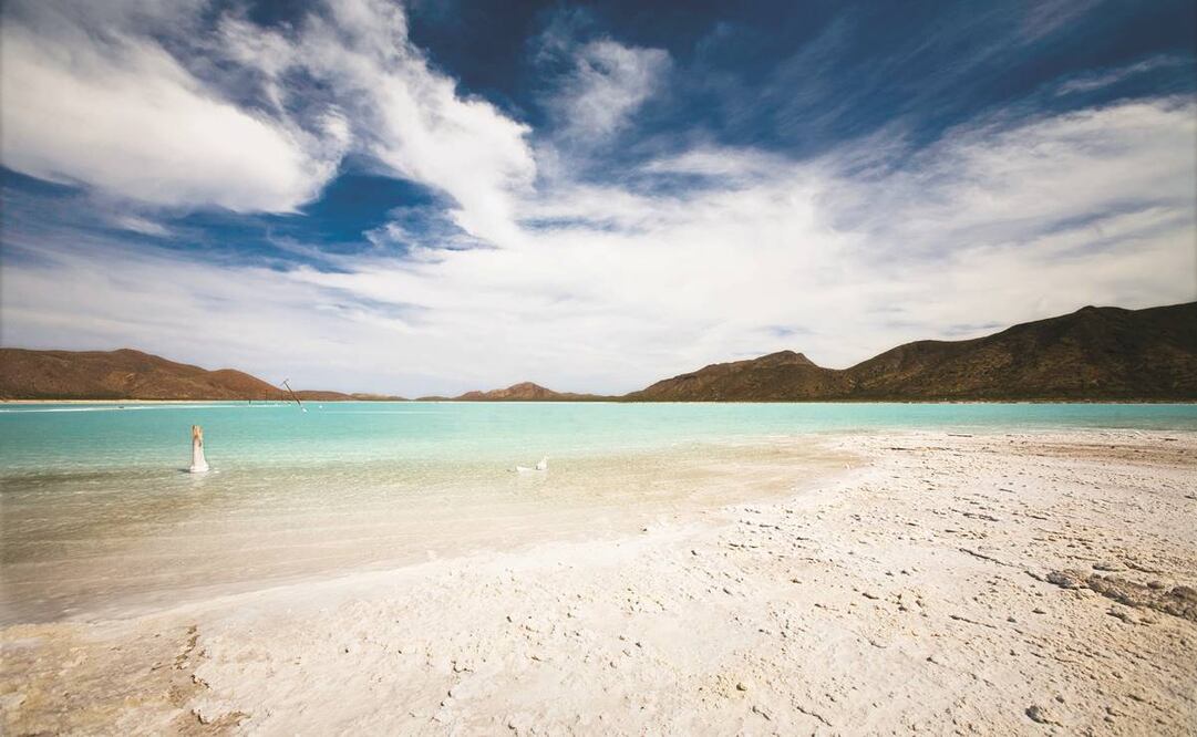 La máxima casa de estudios recordó que en México el turismo contribuye con 8.8% del Producto Interno Bruto (PIB). Foto: Archivo / EL UNIVERSAL