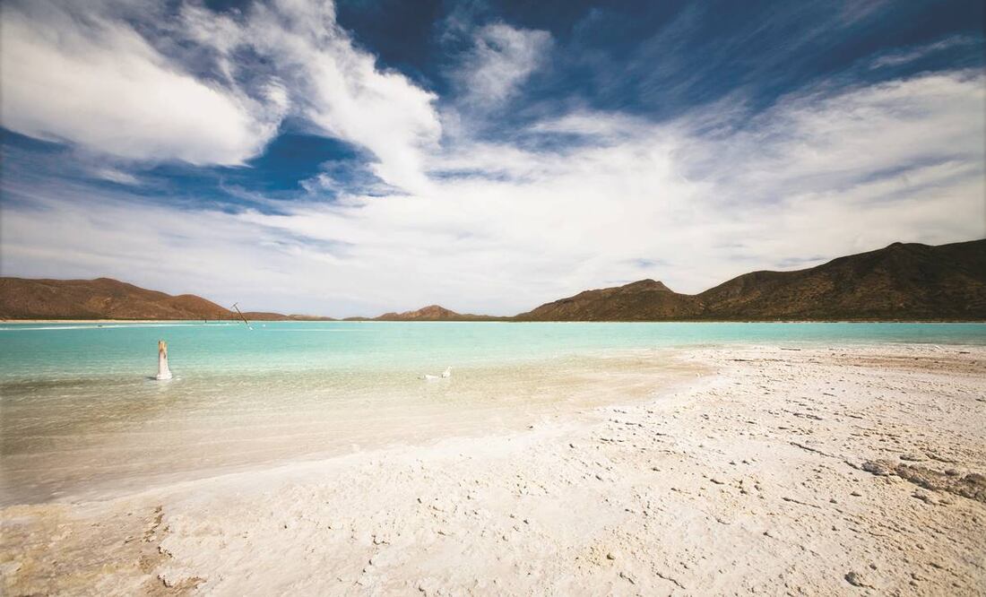 La máxima casa de estudios recordó que en México el turismo contribuye con 8.8% del Producto Interno Bruto (PIB). Foto: Archivo / EL UNIVERSAL