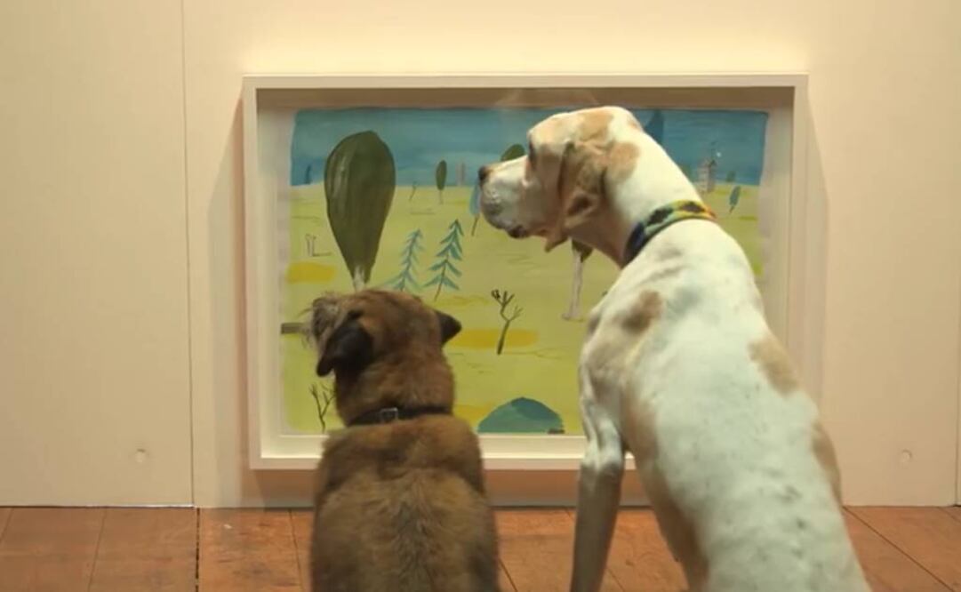 Quizá todo lo que un perro haya visto en sus sueños esté aquí: hermosos paisajes y huesos, muchos huesos. FOTO: Captura.