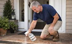 ¿Para qué sirve rociar vinagre en la entrada de tu casa?; conoce esta técnica para el bienestar