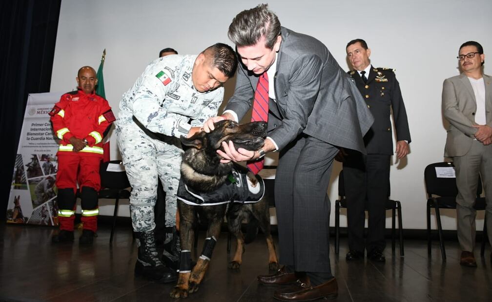 Foto: Guardia Nacional