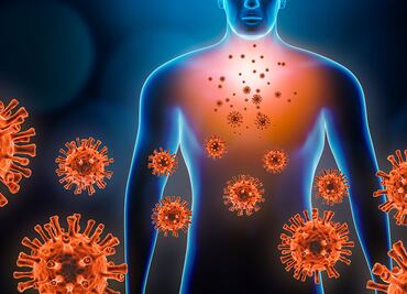 Así destruye el Covid-19 al cuerpo humano