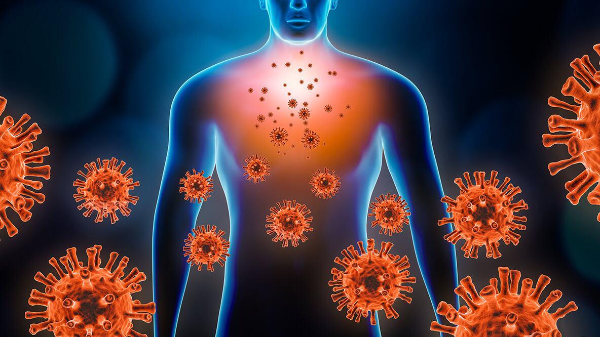Así destruye el Covid-19 al cuerpo humano